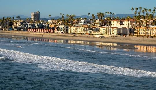 Coastal view of beachfront buildings and palm trees